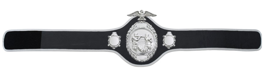 BOXING CHAMPIONSHIP BELT-PRO288/S/BOXS-10 COLOURS BOXING CHAMPIONSHIP BELT-PRO288/S/BOXS-10 COLOURS